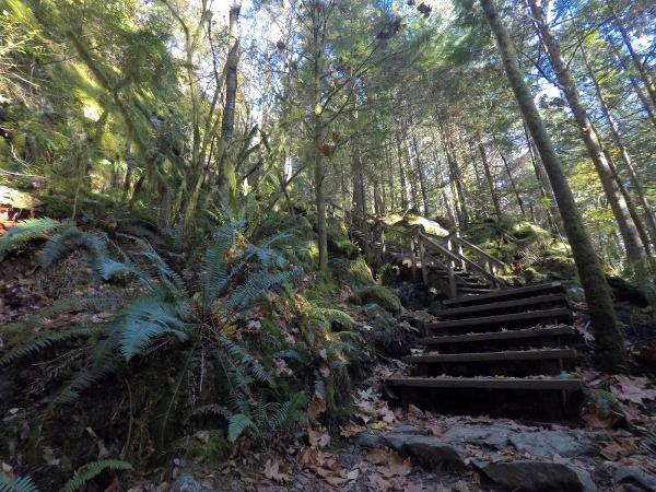 Stairs near the dripping rockface