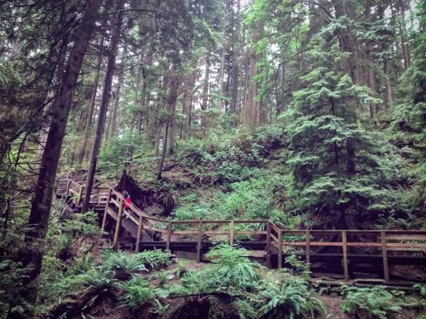 The boardwalk on Quarry Rock