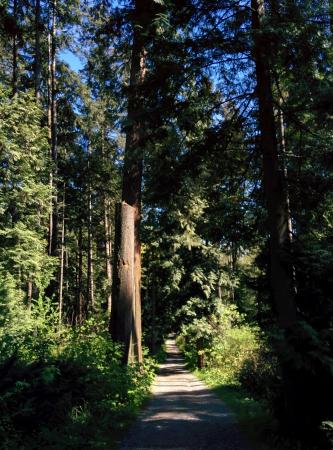 Reservoir Trail north of Beaver Lake